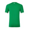 Original Fußballtrikot Irland Heimtrikot 2023 Für Herren